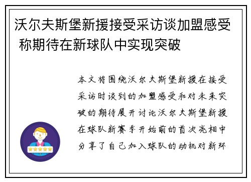 沃尔夫斯堡新援接受采访谈加盟感受 称期待在新球队中实现突破